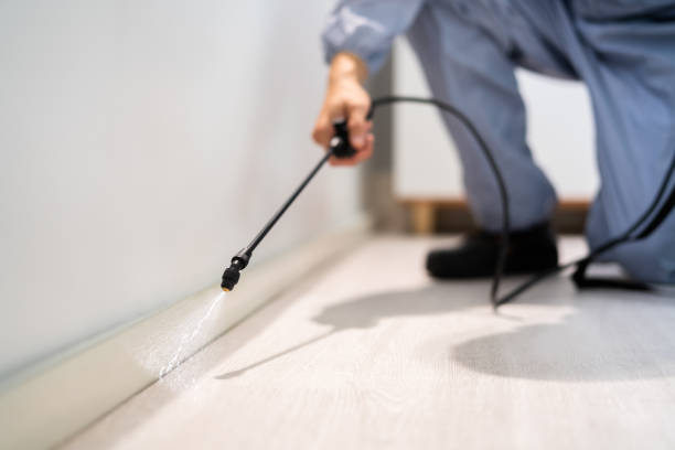 Licensed Mosquito Control service in Forest Lake, IL - Show Me Pest Control