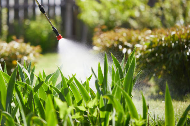 24/7 Emergency Mosquito Control experts in Forest Lake, IL