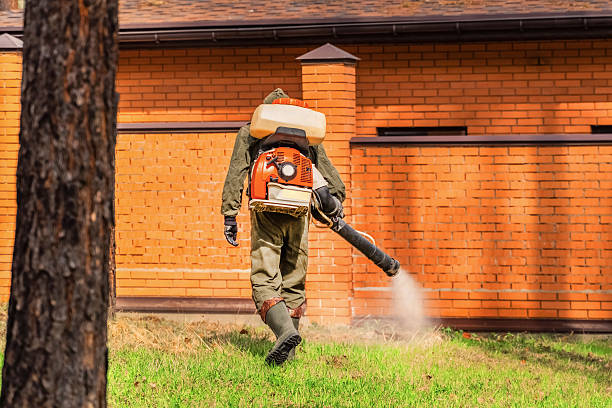 Top rated local Mosquito Control specialists in Forest Lake, IL